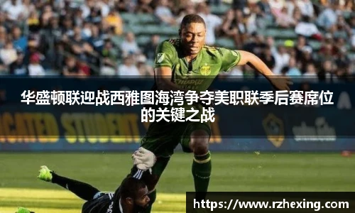 3377官网